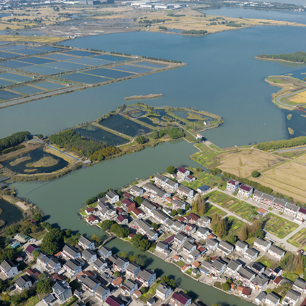 水乡盛景再现沪郊：江南圩田综合水生态系统修复设计