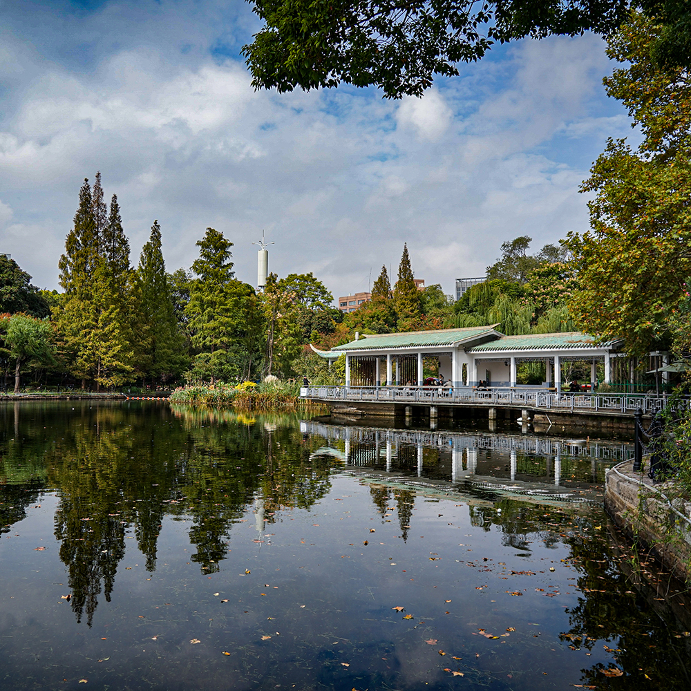 鲁迅公园水体生态治理项目
