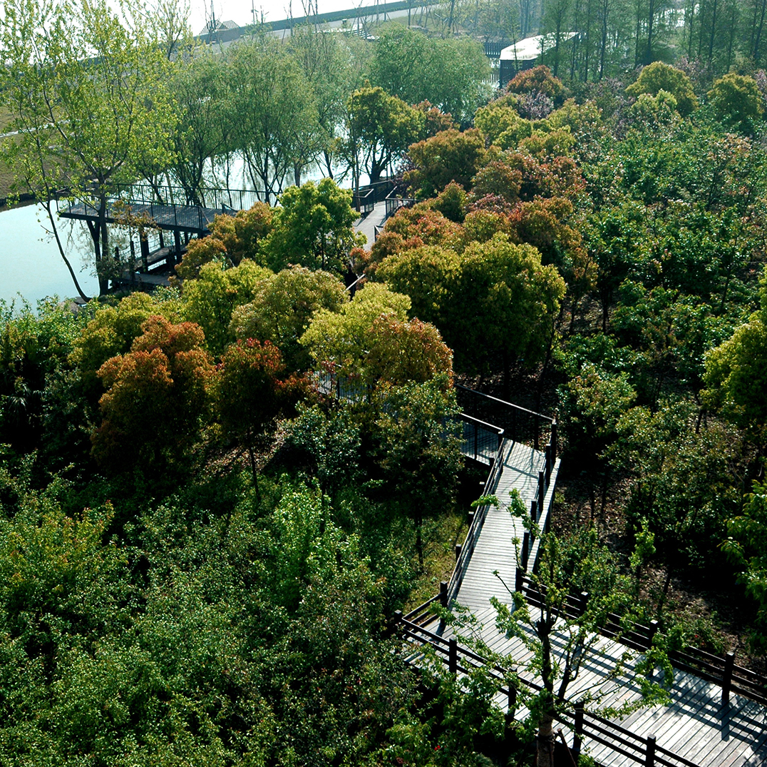 上海滨江森林公园